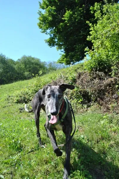 10259814 677045102356665 6271193882653974923 n