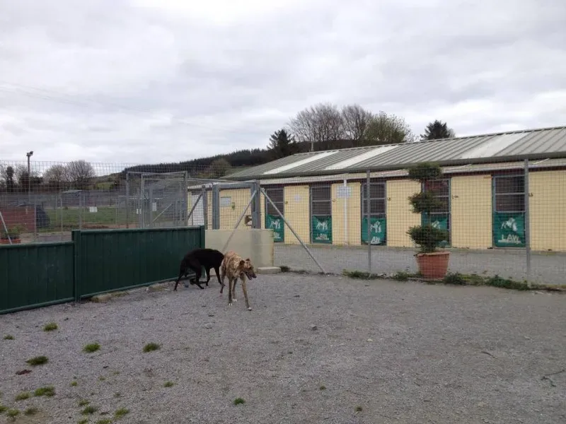 10260013 770573256293709 2091128026671764129 n