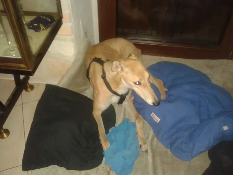 10262186 10203159844331296 382789949918480337 n