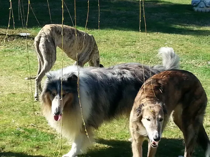 10264115 1517982985125206 3160009231005373602 o