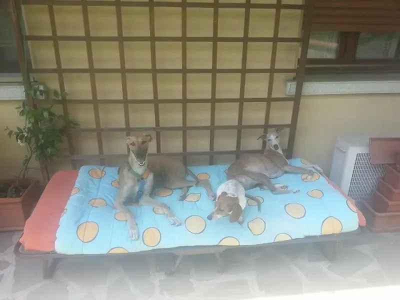 10264399 10204095185048202 4664796545719581675 n