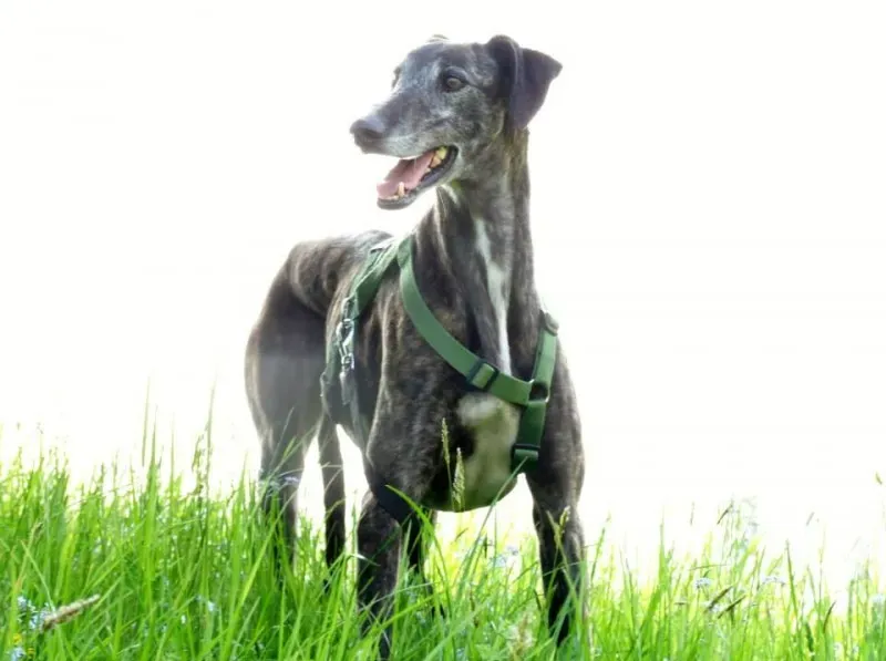 10268488 661393887255120 4721327826119816025 n