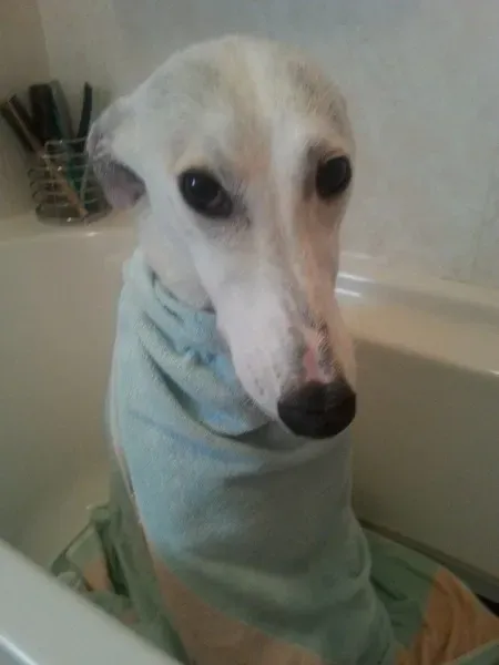 10269429 10203820415419672 6112899673215526031 n