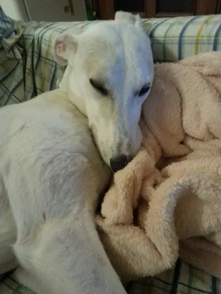 10269557 10203858982983837 3517379186967714045 n