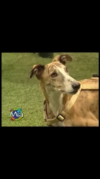 10270758 10202437670075463 8300373598719477082 n