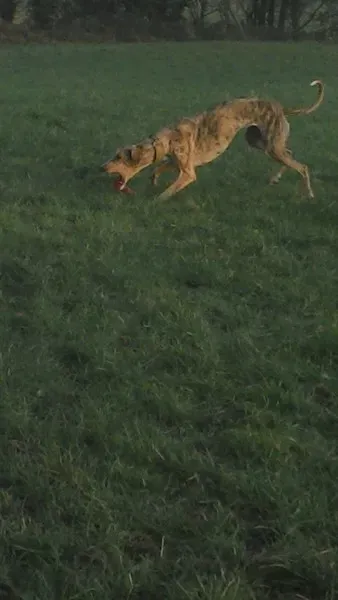 10271523 10204673568932695 7690645713728339379 n