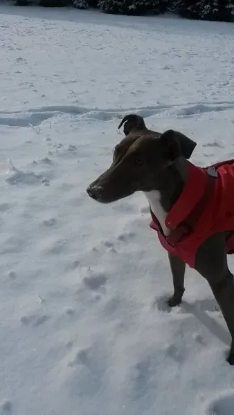 10271610 10207387698788507 6152110699245356037 n