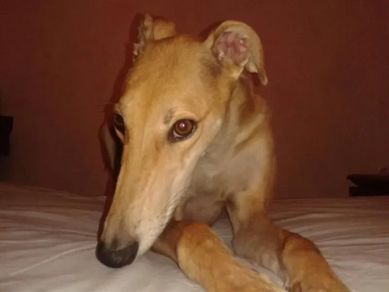 10271639 677745345642657 3280520497776230241 n