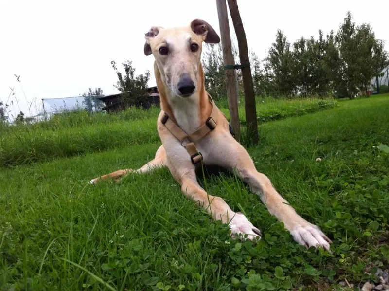 10273443 359940450829341 3049398935335884380 n