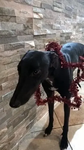 10274124 1663574470577422 4966872676913799046 n