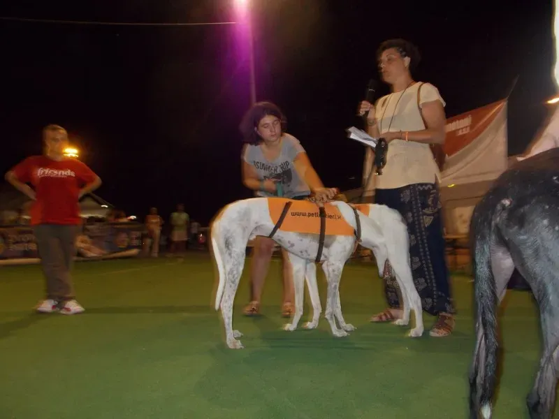 10275352 10203316979445480 7016799866766938004 o