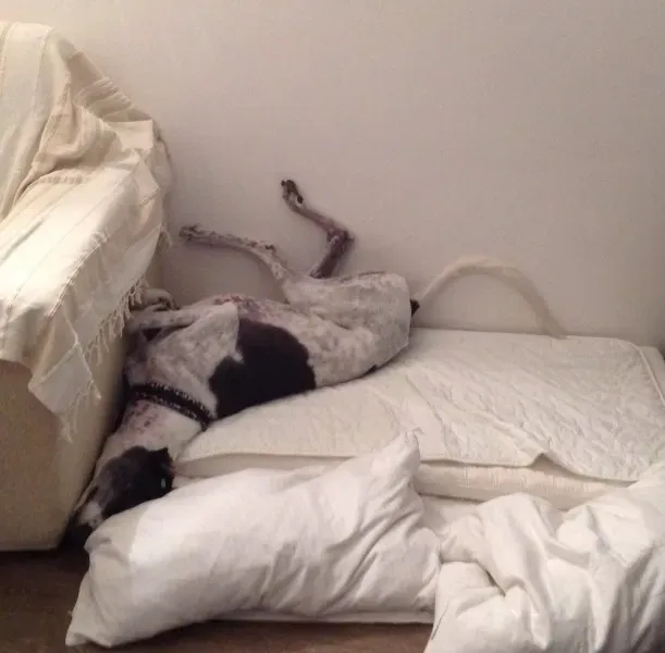 10287032 10203276810073870 6944603900130811160 o