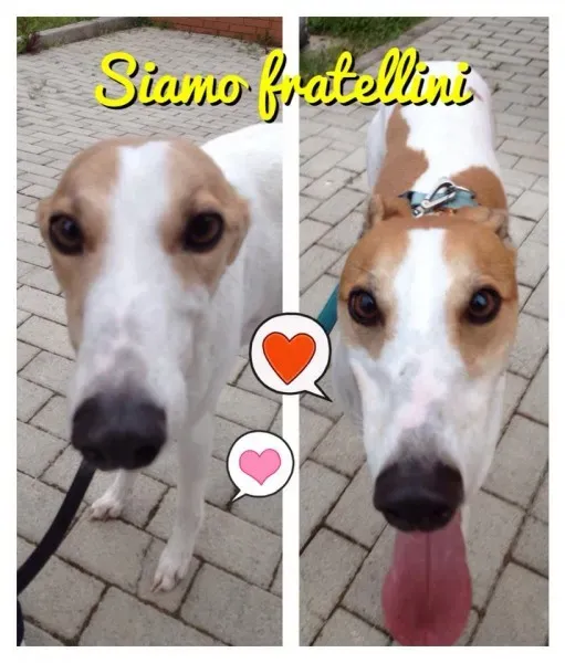 10288760 10201053648303616 1844547396712815693 n