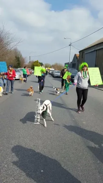 10288775 983425951741260 351412446817826378 n