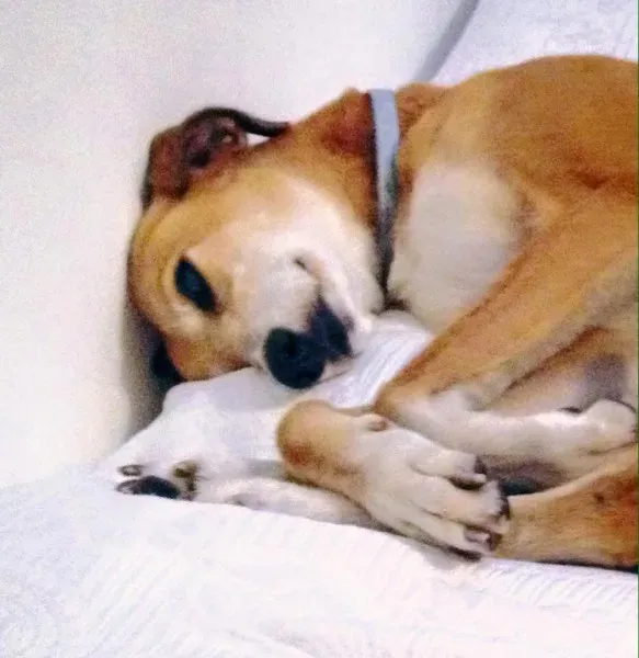 10291267 575319612639088 1596082553332116478 n