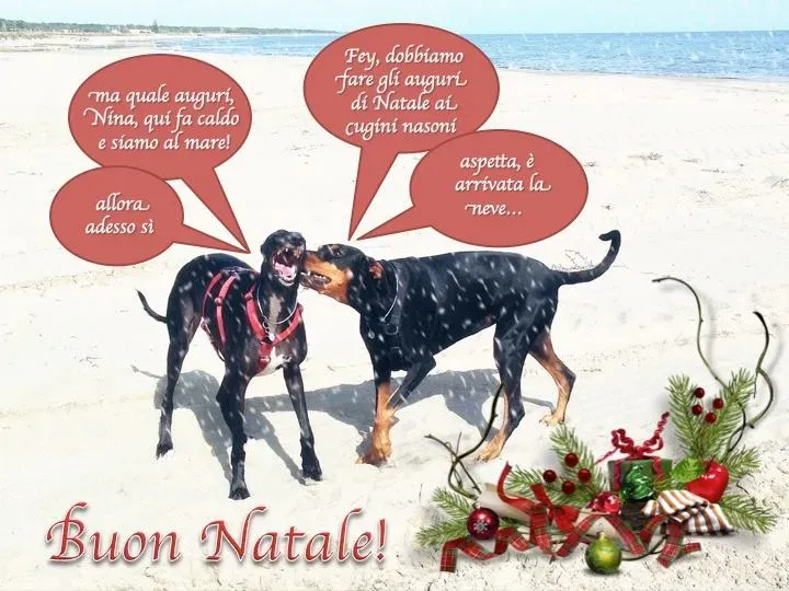 10291829 443521135840898 376031997166752163 n