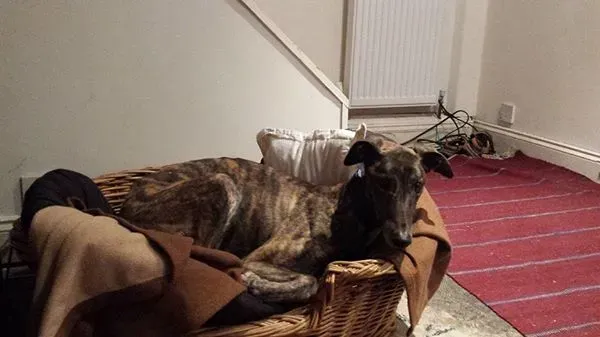 10292482 569599679804496 4781194454517544063 n 1