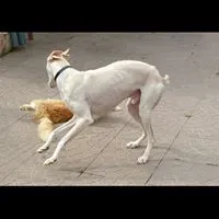 10294262 10208527531895545 6279664192221355039 n