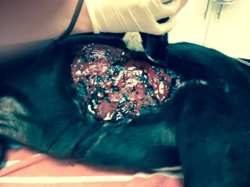 10294276 670653109654524 1956563461077986059 n