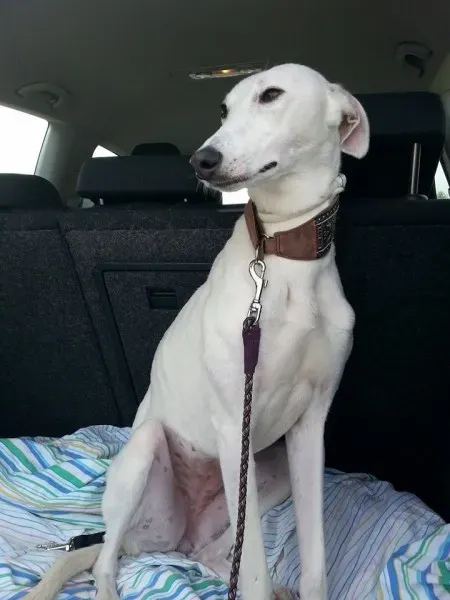 10294348 10203889288701461 519838752733655932 n