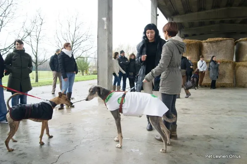 10295680 737312776352580 3100960226846764298 n