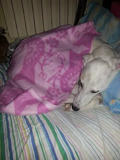 10296560 10203937932117516 432709961070396816 n