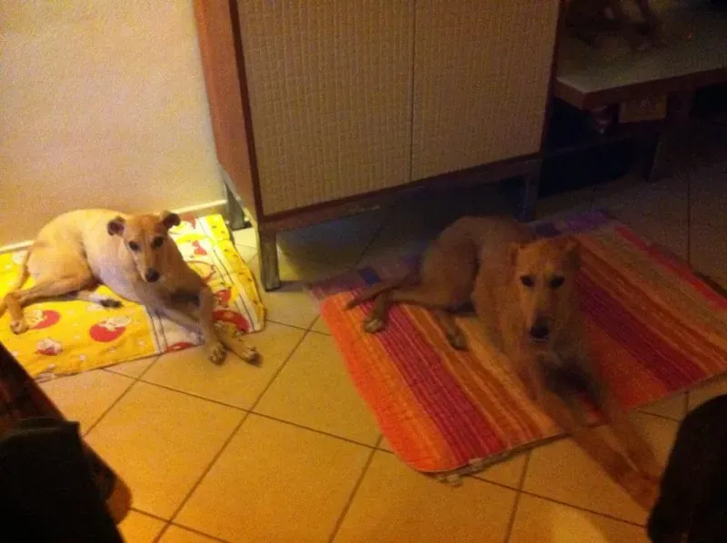 10299528 10204199025757836 7224913528780455064 n