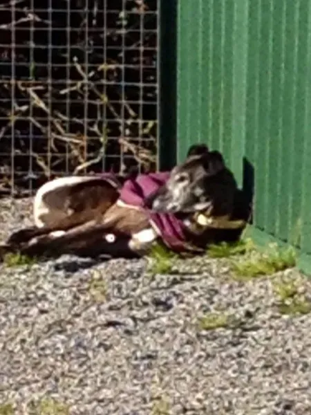 10302633 1602995033261811 5149828924537928696 n