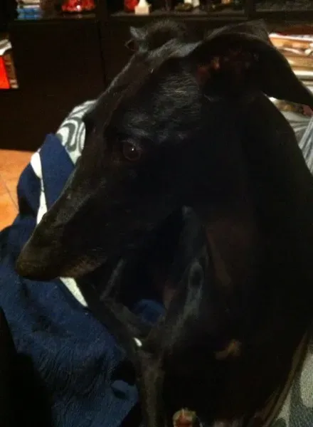 10302693 10202937615747997 8435394381553074617 n