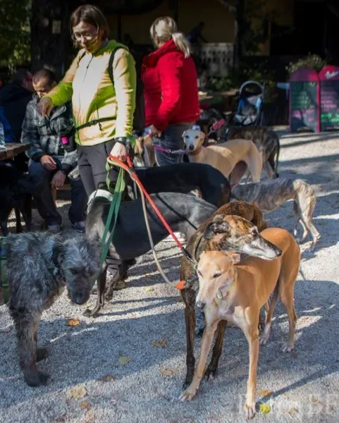 10303801 177496355923732 5838667109570338697 n