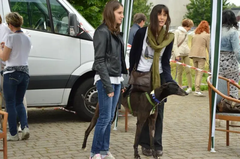 10304696 641745709242621 4693051576541914940 n