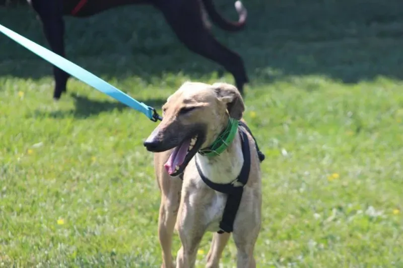 10304873 640701162680409 7925872724135812544 n