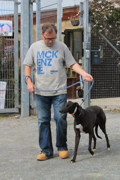 10305185 1014948541856178 2057232594584028971 n