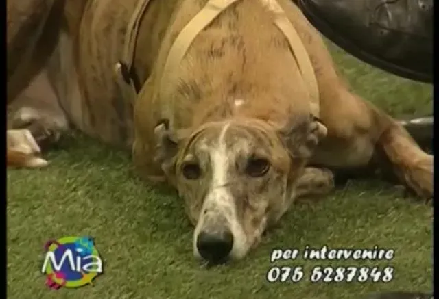 10305435 10202437666995386 8763358665414195165 n