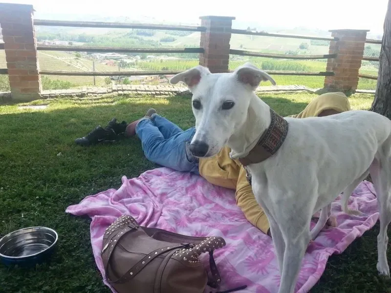 10308183 10203896107031915 2688488401503683255 n