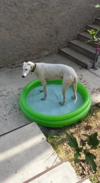 10308392 10207895019506100 938083424558161987 n