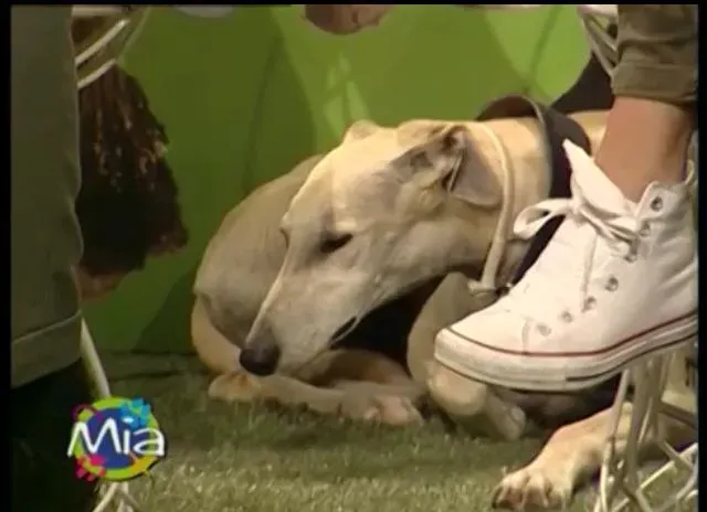 10310107 10202437669035437 3847572108878825420 n