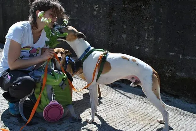 10310107 10203091268233947 6487978892027754534 n