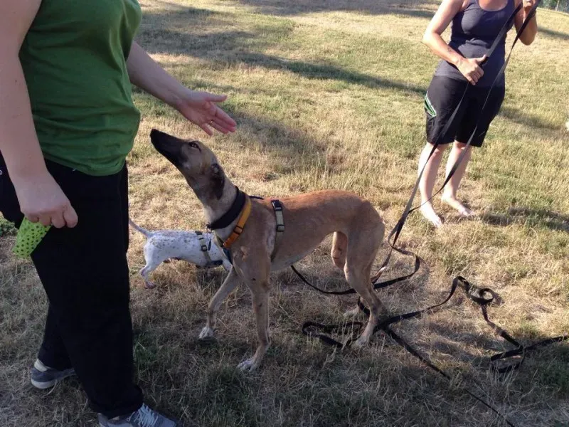 10312970 10203300311821429 5939984579525368040 n 1