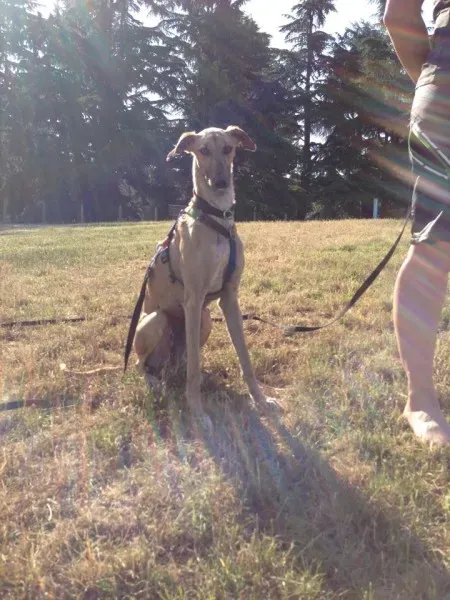 10313814 10203300303221214 5045537284910035166 n