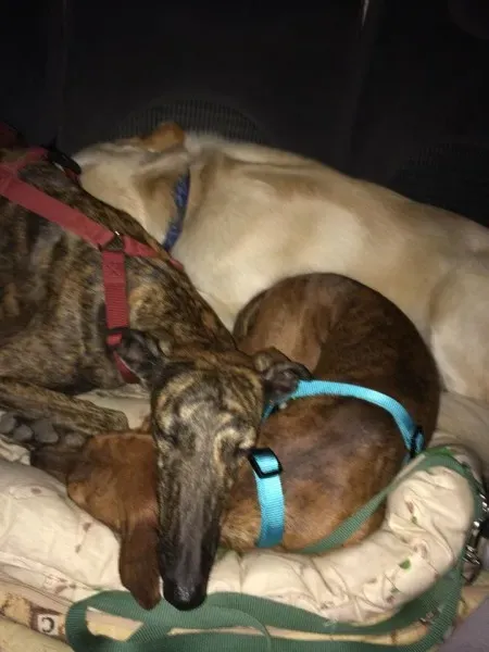 10314615 10205224318190866 3672937488454508964 n