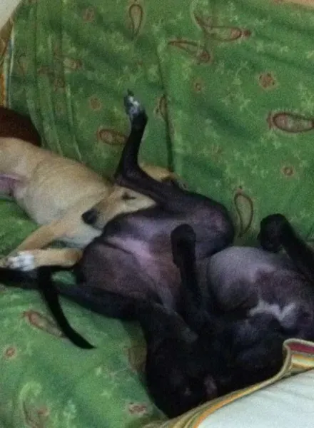 10314662 10202980398652920 5862059843508651766 n