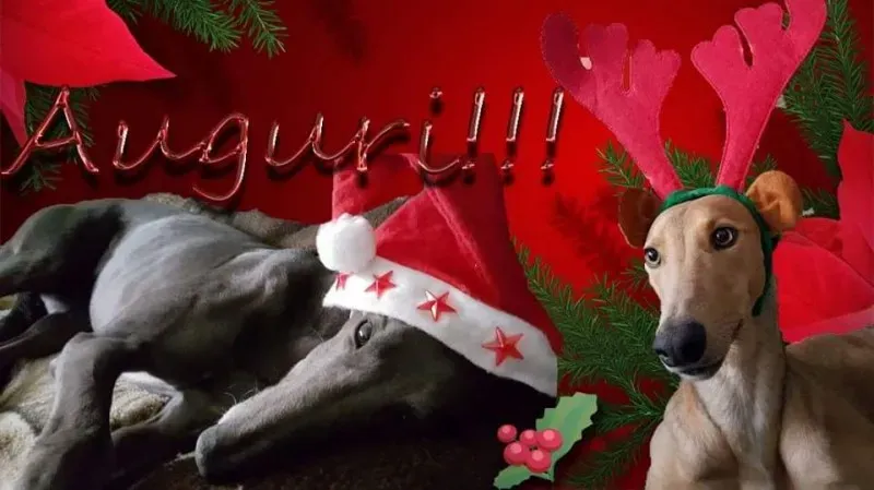 10314707 10207068538585117 7062949177356881275 n