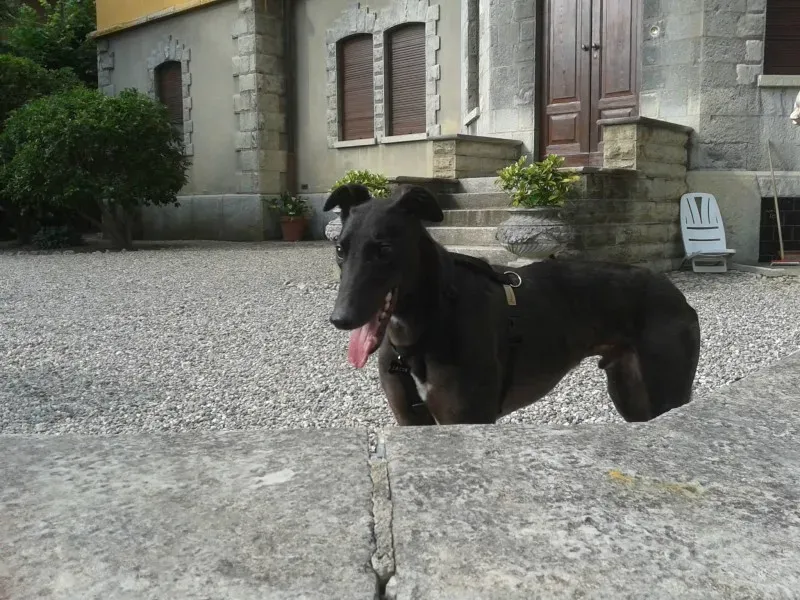 10317620 654962137914628 5751296440809182524 o