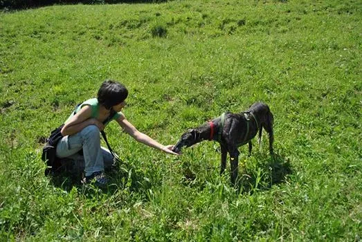 10320426 677051509022691 1179461801417115206 n