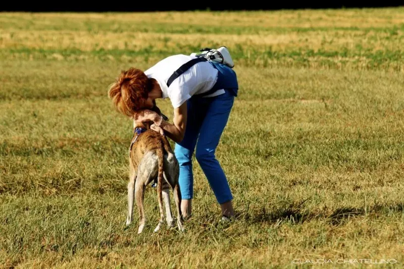 10320532 497706200355794 7515815628383290038 n