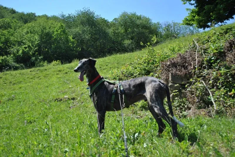 10321685 677090312352144 8191077681196374822 o