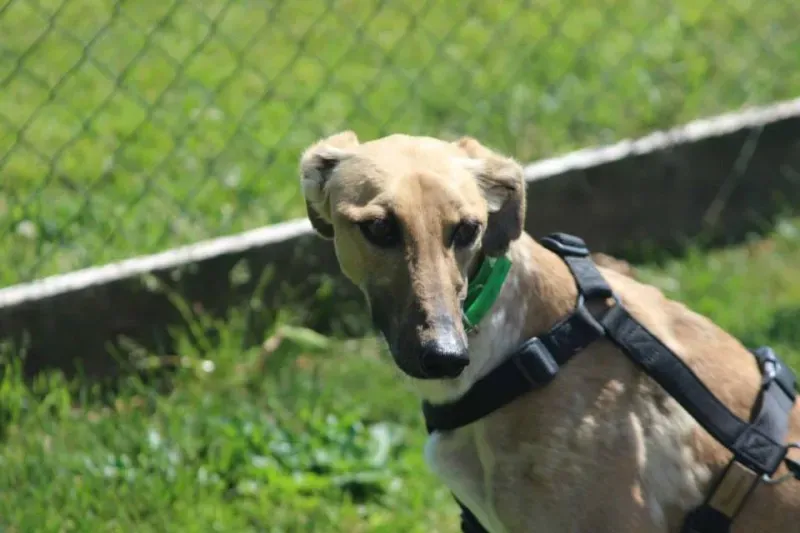 10322827 640700789347113 3083697056564219946 n