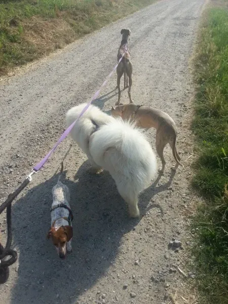 10325156 10204101380403082 2117272884862881014 n