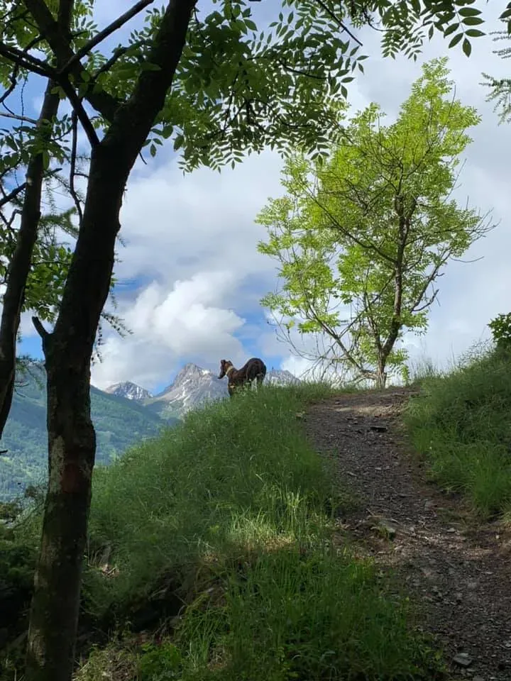 103252509 10220520361432193 8002807941860292675 n